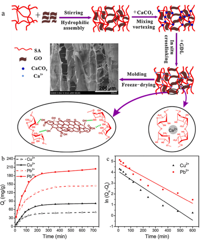 上海理工大学张晓东 《CEJ》|基于石墨烯的气凝胶在水处理和空气净化中的应用：综述