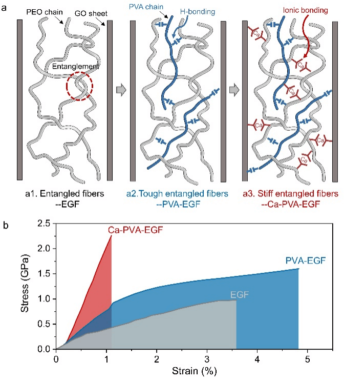 浙江大学Nano Letters：层间缠结调控制备高性能石墨烯基复合纤维