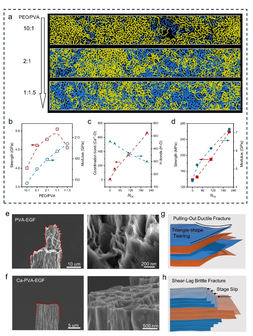 浙江大学Nano Letters：层间缠结调控制备高性能石墨烯基复合纤维