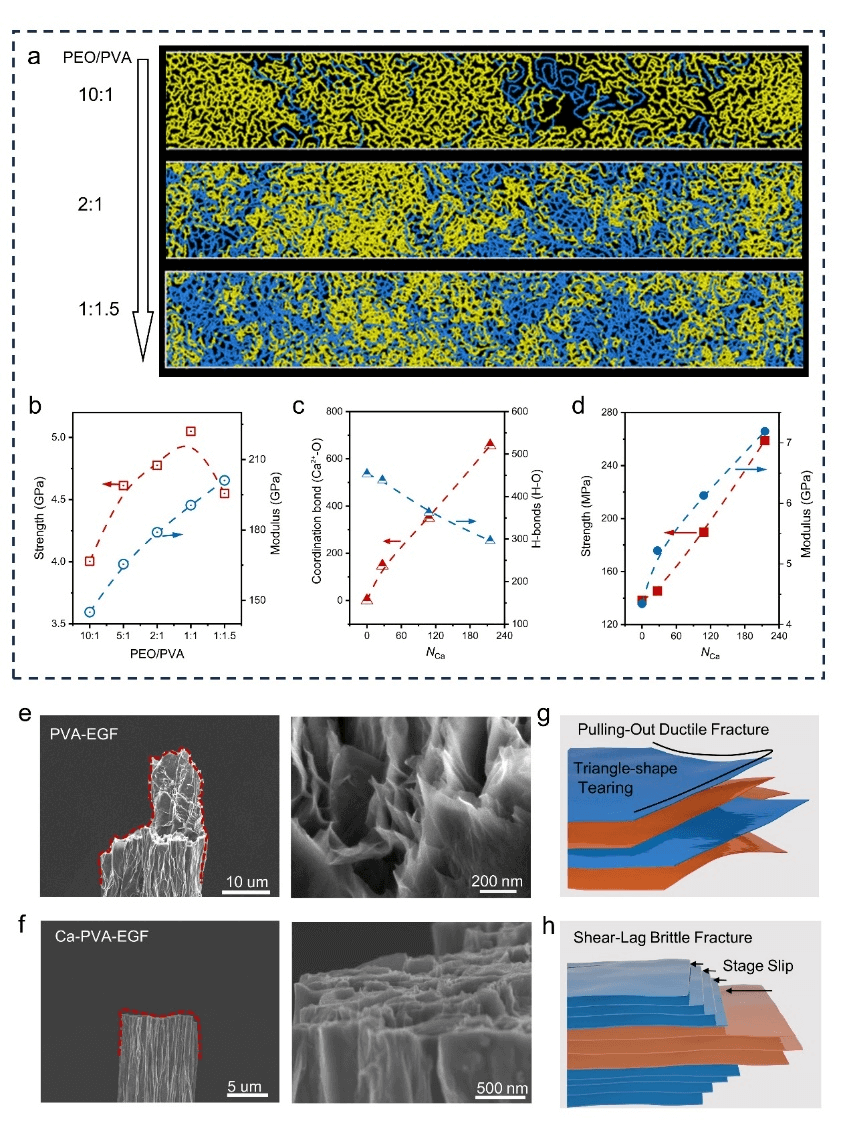 浙江大学Nano Letters：层间缠结调控制备高性能石墨烯基复合纤维