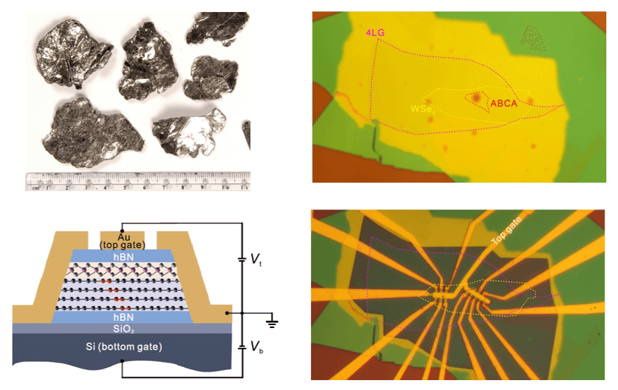 首次实现！交大团队发表最新Science！