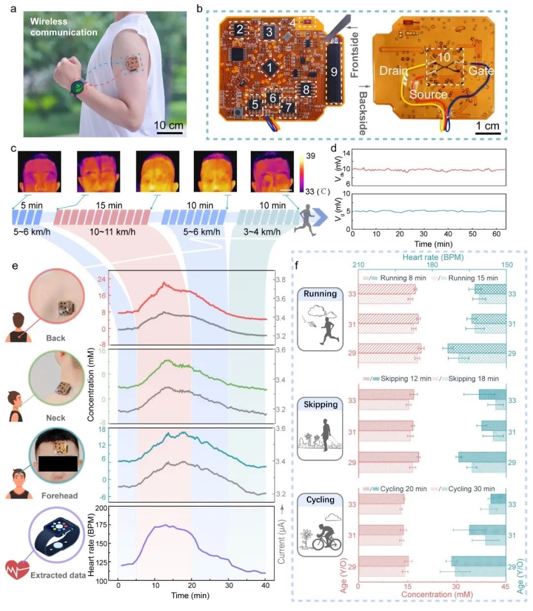 北航郝壮/哈工大潘昀路、李斐然/沈航马爽合作《AFM》:面向汗液自富集-自过滤-在线分析的柔性穿戴式石墨烯传感贴片