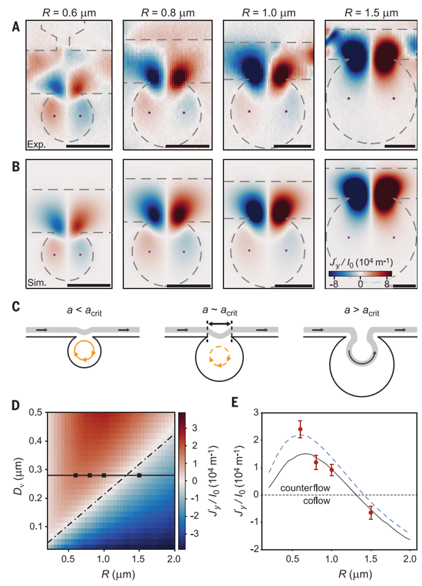 石墨烯，Science！