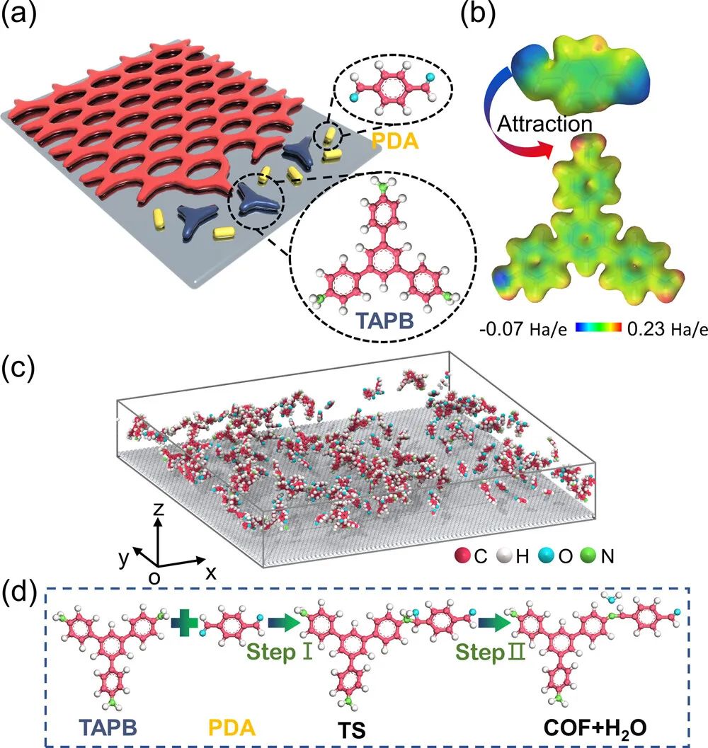ACS Nano：石墨烯表面2D-COFs生长机制的动态研究