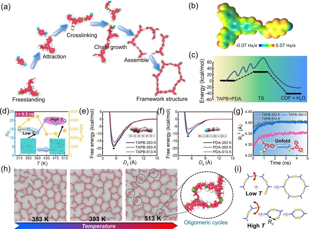 ACS Nano：石墨烯表面2D-COFs生长机制的动态研究
