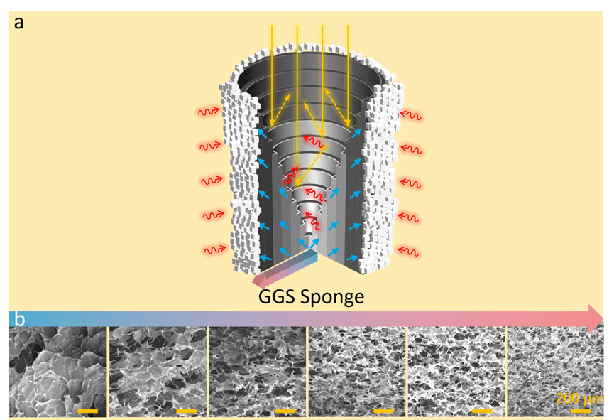 山东第一医科大学李晨蔚团队Adv. Sci.：三维梯度石墨烯气凝胶用于高效太阳能海水淡化和零液体排放脱盐