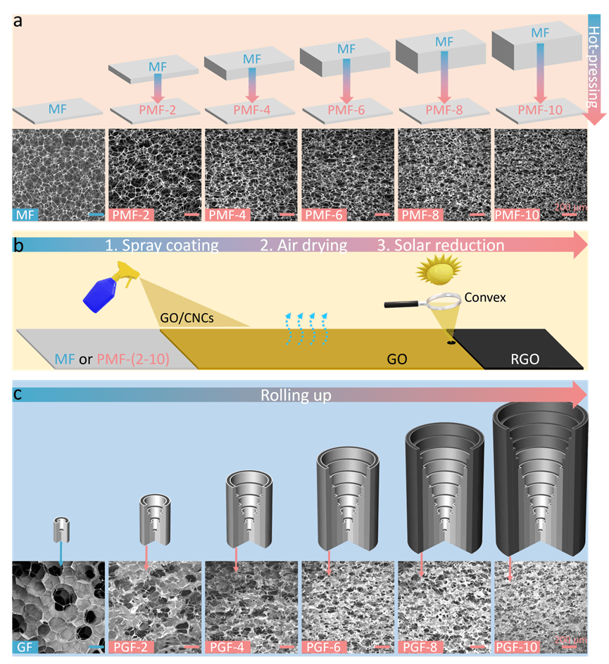 山东第一医科大学李晨蔚团队Adv. Sci.：三维梯度石墨烯气凝胶用于高效太阳能海水淡化和零液体排放脱盐