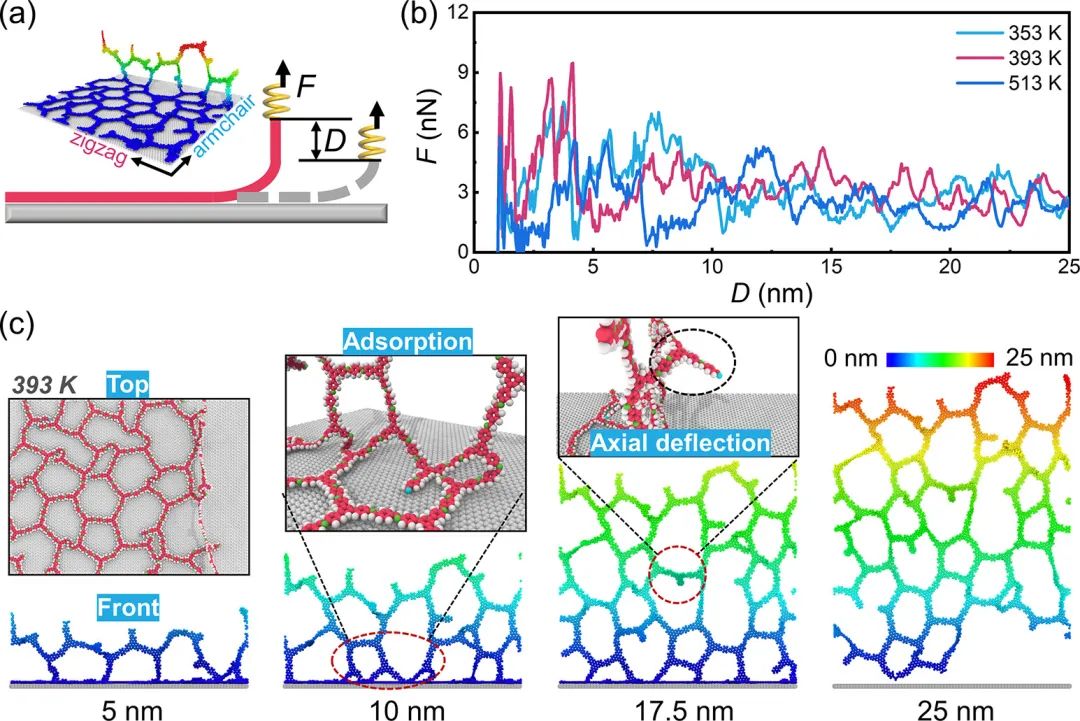 ACS Nano：石墨烯表面2D-COFs生长机制的动态研究