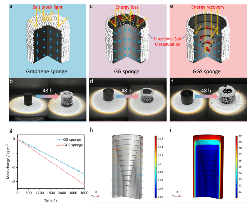 山东第一医科大学李晨蔚团队Adv. Sci.：三维梯度石墨烯气凝胶用于高效太阳能海水淡化和零液体排放脱盐