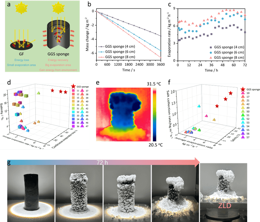 山东第一医科大学李晨蔚团队Adv. Sci.：三维梯度石墨烯气凝胶用于高效太阳能海水淡化和零液体排放脱盐