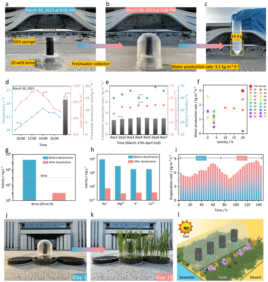 山东第一医科大学李晨蔚团队Adv. Sci.：三维梯度石墨烯气凝胶用于高效太阳能海水淡化和零液体排放脱盐