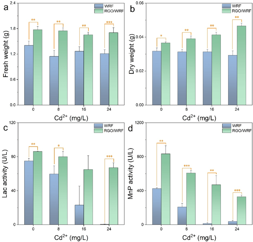 西南民族大学杨胜韬教授&袁月副研究员团队Water Res.：还原石墨烯促进镉胁迫条件下黄孢原毛平革菌对磺胺甲恶唑的生物降解