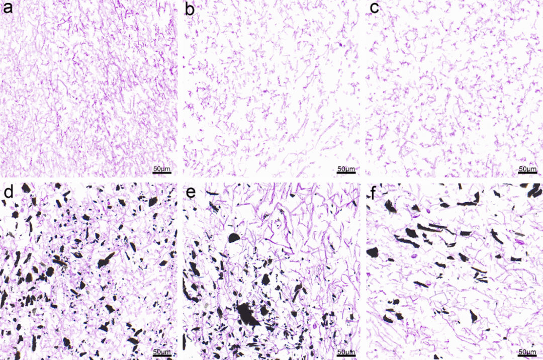西南民族大学杨胜韬教授&袁月副研究员团队Water Res.：还原石墨烯促进镉胁迫条件下黄孢原毛平革菌对磺胺甲恶唑的生物降解