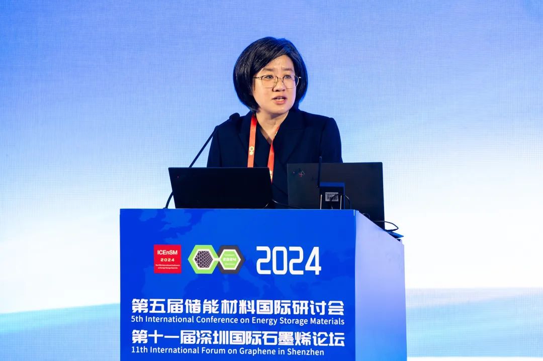 2024储能材料国际研讨会暨深圳国际石墨烯论坛顺利开幕