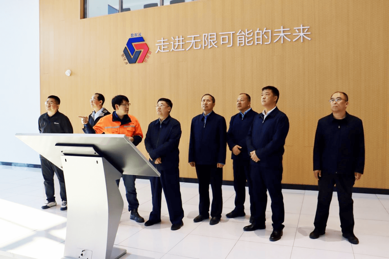 张显友带领省政协专题调研组赴鹤岗市调研