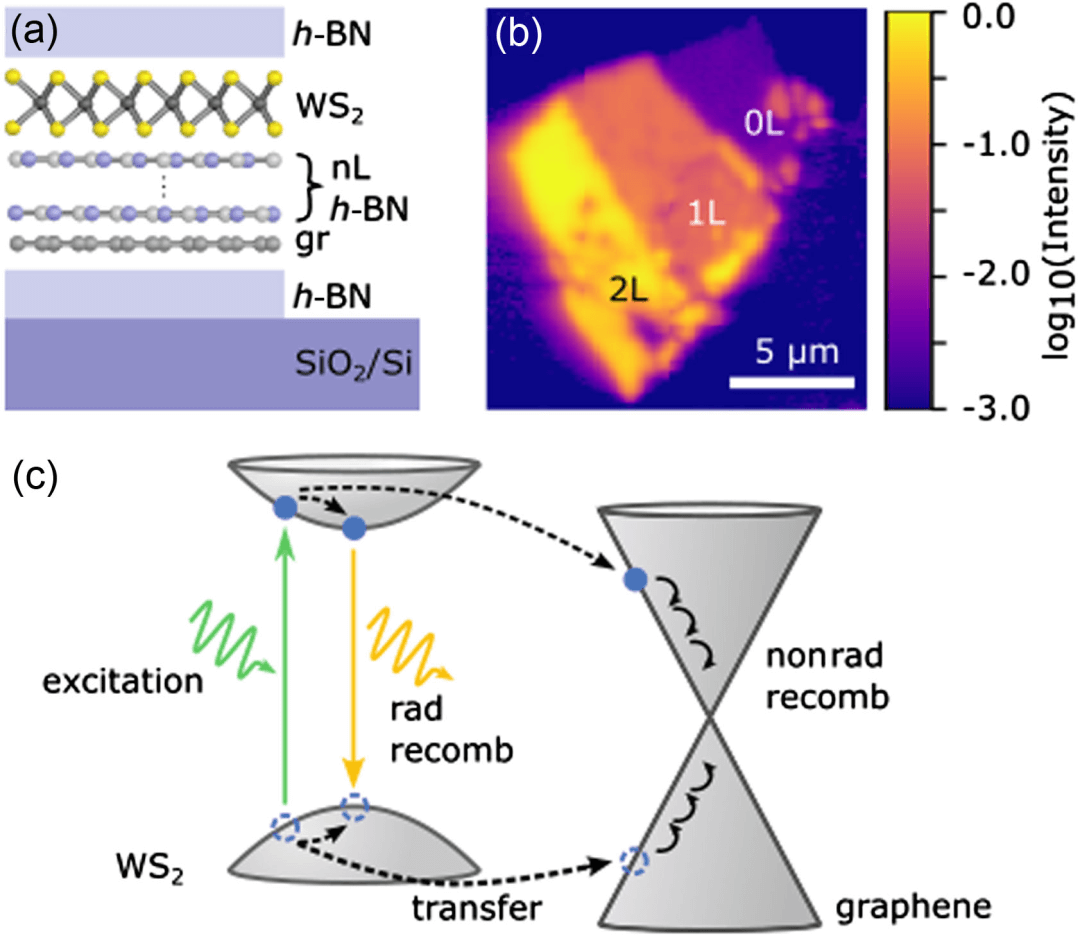 德国亚琛工业大学Phys. Rev. Lett.: WS2-石墨烯异质结中能量传递机制的距离依赖性