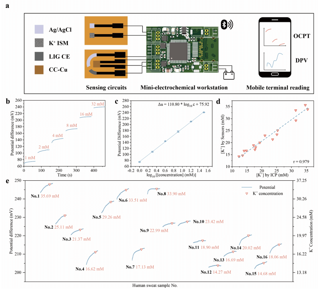 Biosensors&Bioelectronics：多功能激光诱导石墨烯电路和激光打印纳米材料用于无创人体肾脏功能监测