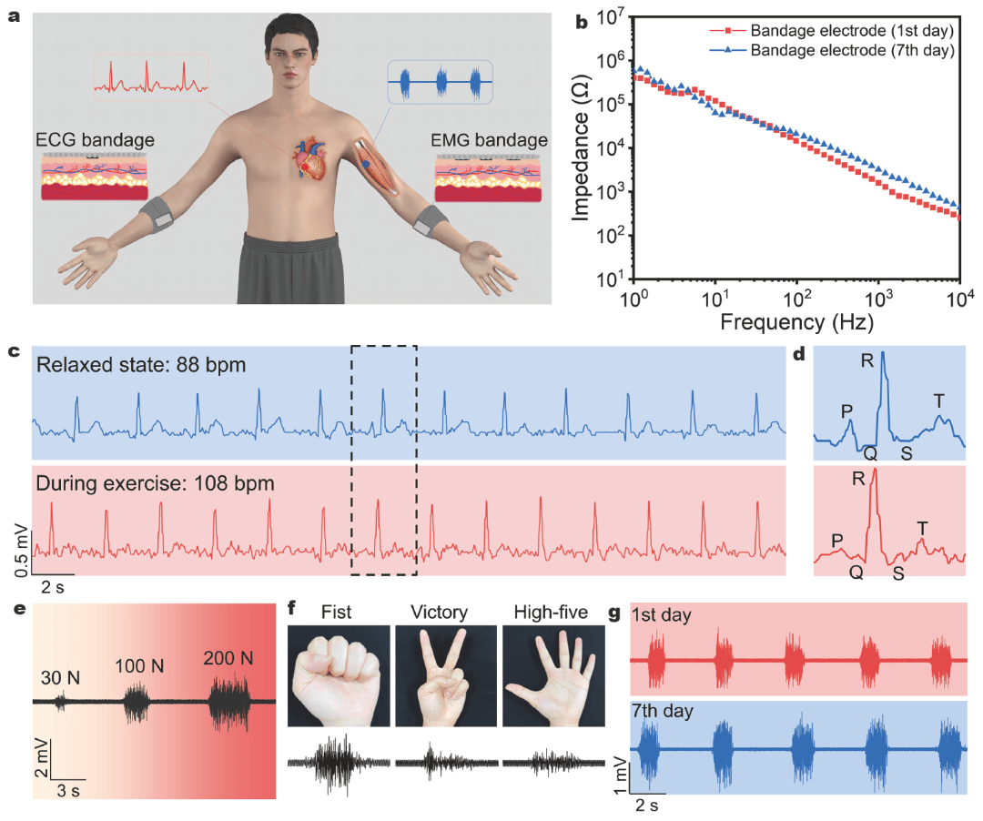 东华大学朱美芳院士/潘绍武研究员：水性石墨烯分散液用于多功能纤维基传感器和发光器件