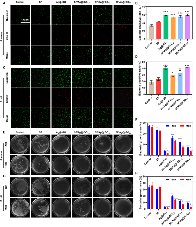 青岛科技大学郭传龙、吴晓晨《AHM》|丝素蛋白、银纳米颗粒和还原氧化石墨烯水凝胶敷料：近红外光热抗菌与皮肤再生