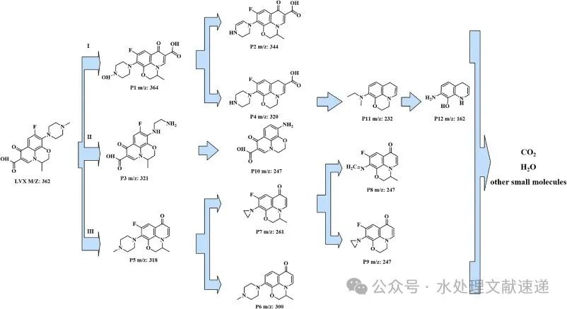 文献速递|华东理工大学SPT:LaCO3OH与N、S共掺石墨烯对过硫酸盐的活化作用，用于降解左氧氟沙星