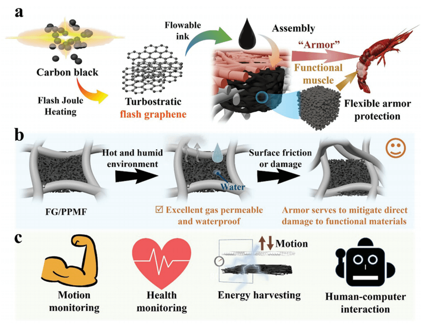【Adv. Sci.】基于闪蒸石墨烯多孔组装体的仿生柔性电极