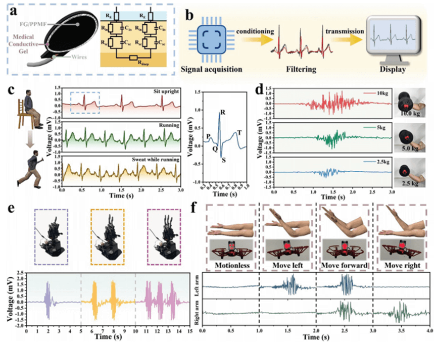 【Adv. Sci.】基于闪蒸石墨烯多孔组装体的仿生柔性电极