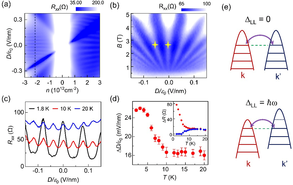 转角石墨烯（2+2）中的量子振荡与“层”物态调控
