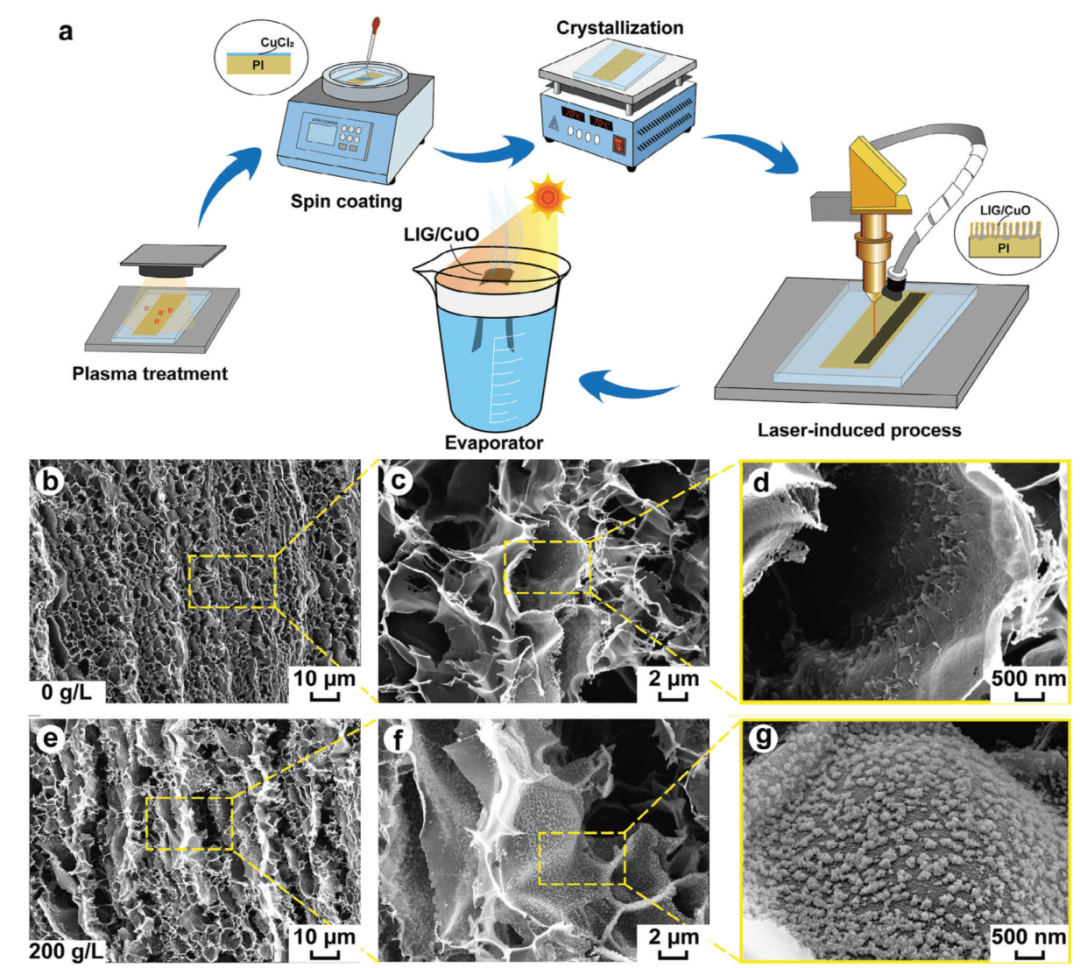中山大学Advanced Functional Materials：激光诱导多孔石墨烯/CuO复合材料用于高效界面太阳能蒸汽生成