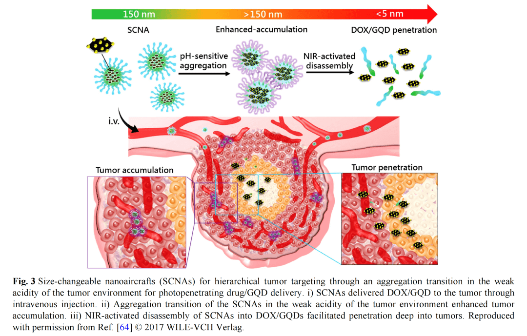 石墨烯量子点在癌症治疗中的新兴应用