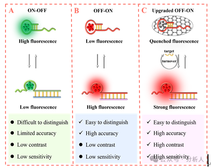 Analytical Chemistry：升级版点亮型生物检测平台：熵驱动催化电路操纵氧化石墨烯表面新型DNA银纳米簇的构型转化