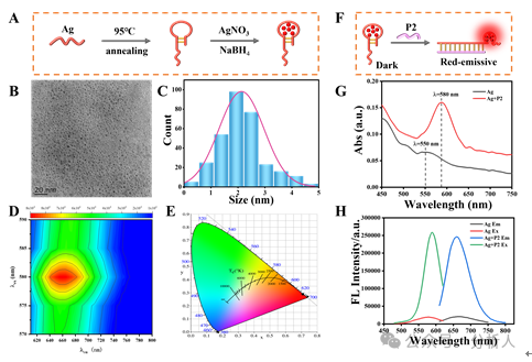 Analytical Chemistry：升级版点亮型生物检测平台：熵驱动催化电路操纵氧化石墨烯表面新型DNA银纳米簇的构型转化