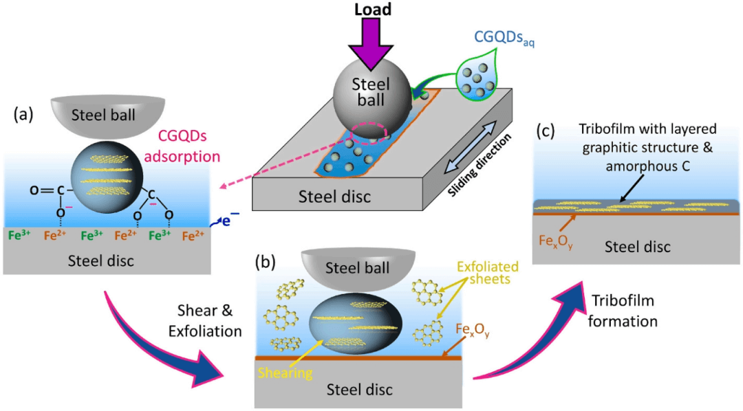 羧基化石墨烯量子点：坚固耐用的超润滑