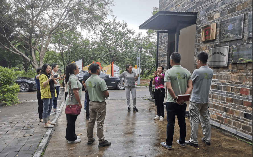 跨界合作共筑绿色农业新篇章