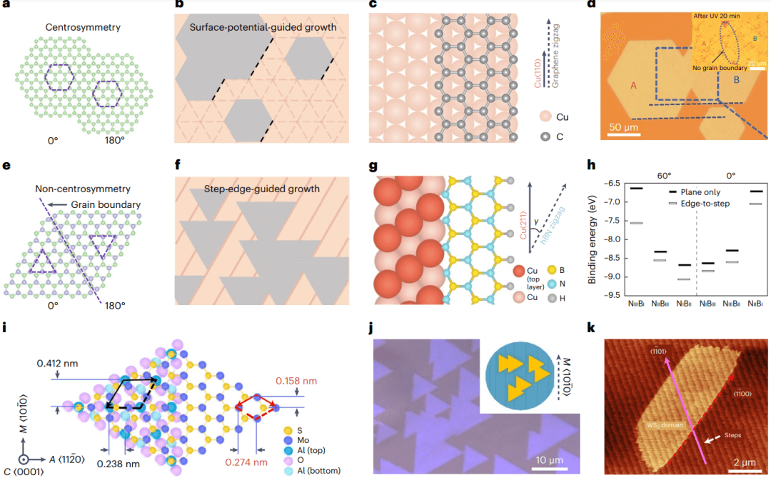 二维材料新进展！Nature Nanotechnology