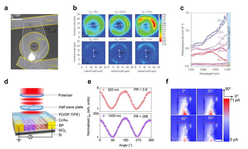 二维干货：二维光电器件的分类（一）！