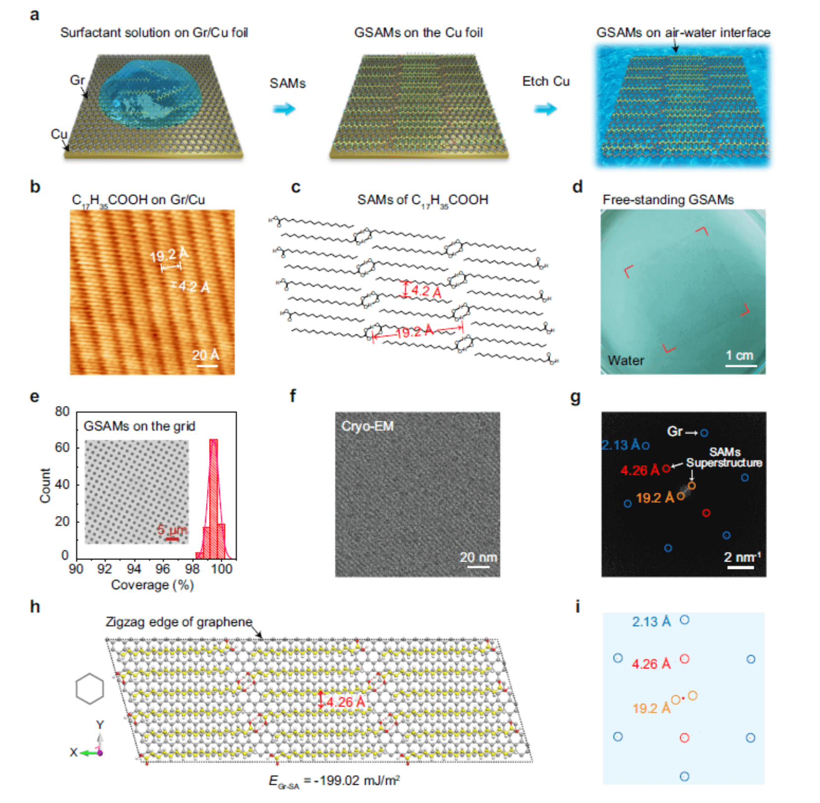 彭海琳课题组与合作者报道自组装超结构电镜载网抑制冷冻制样中的气液界面效应