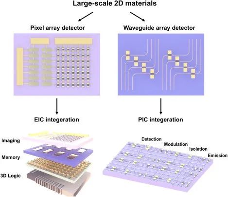 Physics Reports | 重磅！二维材料在光电探测中的创新与应用前景！