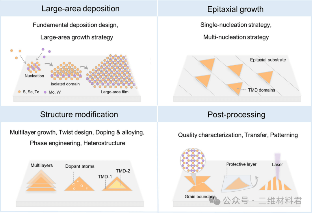 2024, Chemical Reviews，综述分享——大面积外延生长过渡金属二硫化物的进展