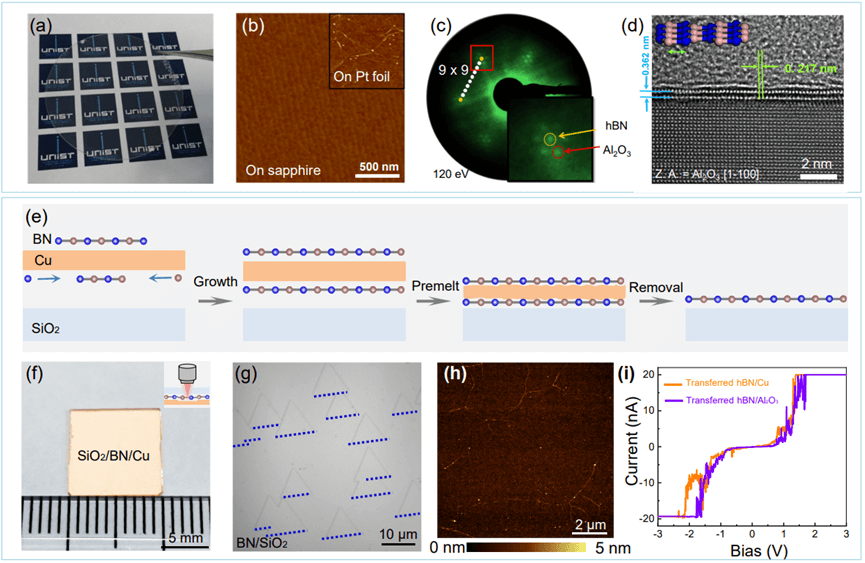 科学通报|绝缘衬底上二维单晶材料制备研究进展