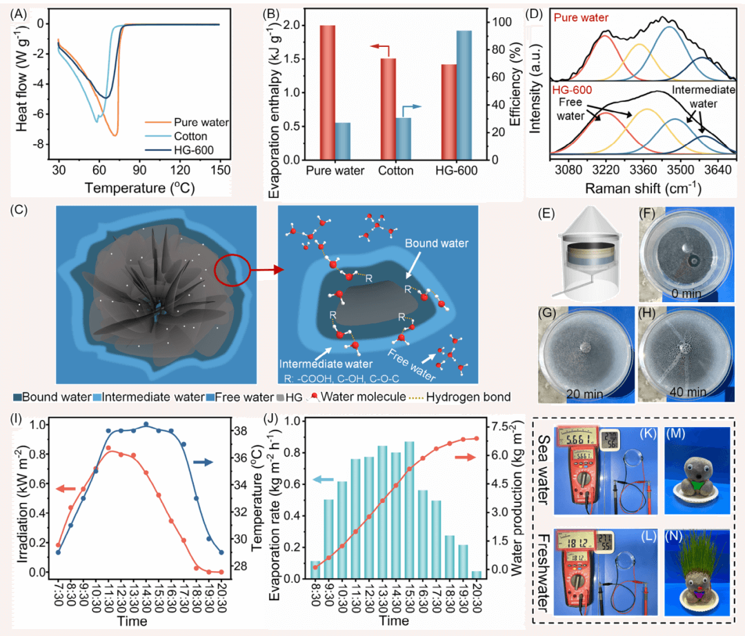 SusMat | 文献前沿 | 废聚乳酸盐助碳化类绣球石墨烯界面蒸发