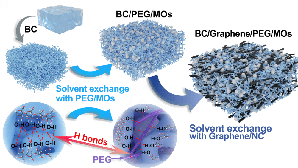 曼大李加深团队 CEJ：用于挥发性有机化合物检测的石墨烯/金属氧化物/细菌纤维素/聚乙二醇复合气凝胶