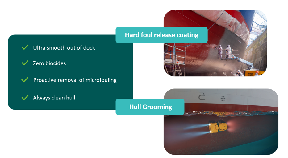 始终清洁的船体 - 第 3 部分：可修整涂料： 生物防污技术的可持续替代品