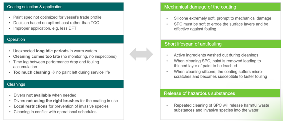 始终保持船体清洁--第 2 部分：船体修整作为一种积极主动的方法来管理生物污损