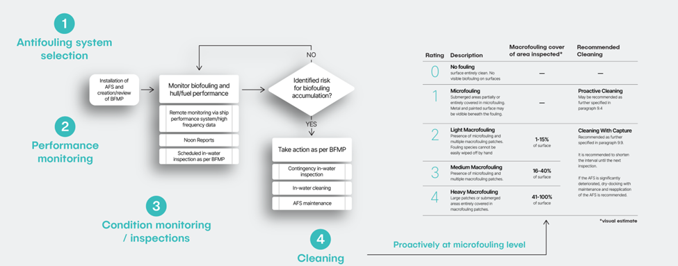 始终保持船体清洁--第 2 部分：船体修整作为一种积极主动的方法来管理生物污损