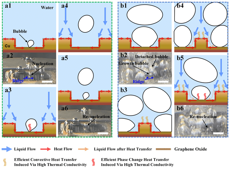 长春理工大学陶海岩教授：基于飞秒激光构建的三维氧化石墨烯纳米涂层增强沸腾传热