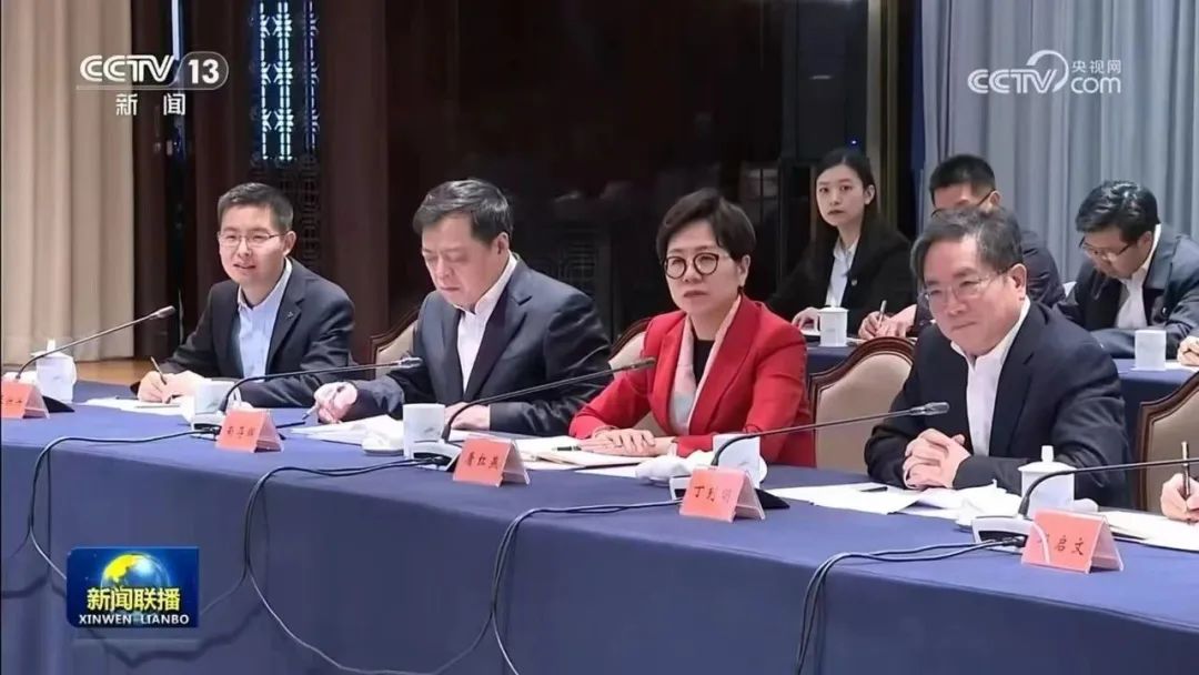 南存辉参加总理座谈会发言：以新质生产力推进新型工业化