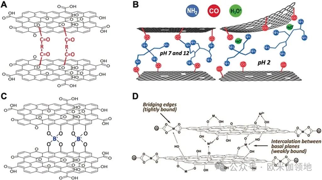 书评|Angewandte Chemie|用于水、气体和离子分离的2D纳米片及复合膜