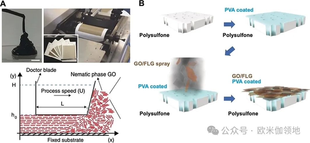 书评|Angewandte Chemie|用于水、气体和离子分离的2D纳米片及复合膜