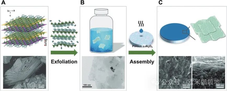 书评|Angewandte Chemie|用于水、气体和离子分离的2D纳米片及复合膜