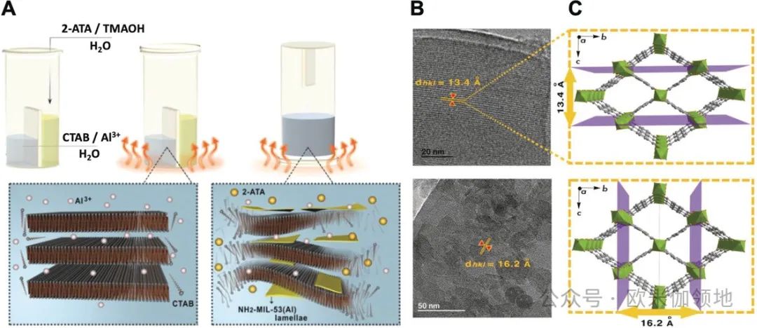 书评|Angewandte Chemie|用于水、气体和离子分离的2D纳米片及复合膜